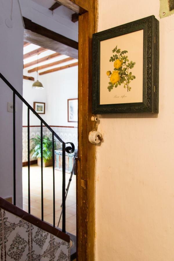 Apartment Casa Rosalia Ibi